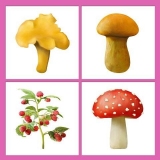 10592655_812996205431976_1353244601277825512_n