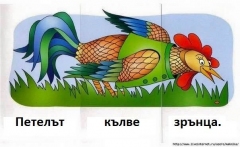 12118647_707025256063630_7716691478827115911_n