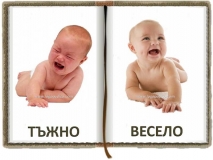 17-tajno-veselo-logopedichni-karti