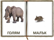 23-goliam-malak-logopedichni-karti