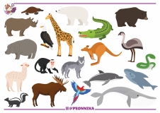 56656082_3082314591782412_4209627107577298944_o