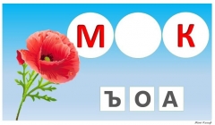 89947420_10213138590219409_8484488175606038528_n