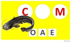 90634409_10213138587859350_2271573039957147648_n