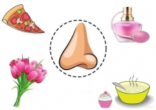 90682951_2651009465175268_1720296245005647872_n