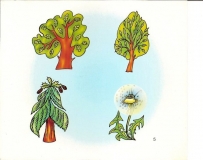 91279056_2482537988663166_7497062128965124096_n