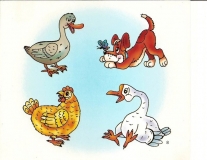 91298233_2482538198663145_3510188513737834496_n