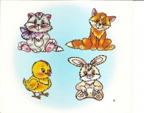 91403977_2482537911996507_7992047197044604928_n