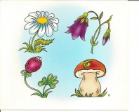 91406068_2482538271996471_438306978834415616_n