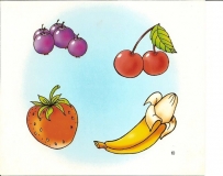 91570585_2482538001996498_6338915895426940928_n