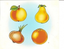 91616374_2482537918663173_2178839473356275712_n